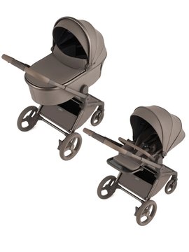 Коляска 2 в 1 Anex Flo